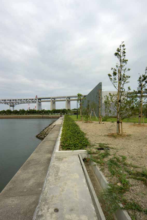 IMGP8447a.jpg