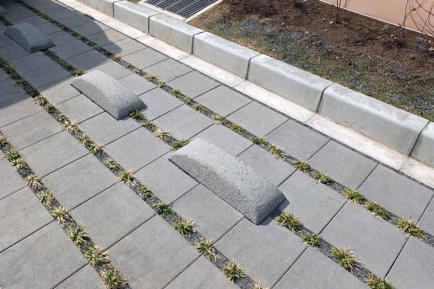 DSCF4033.JPG