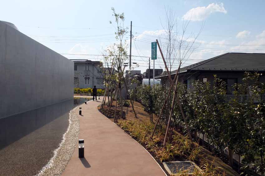 DSCF4129.JPG