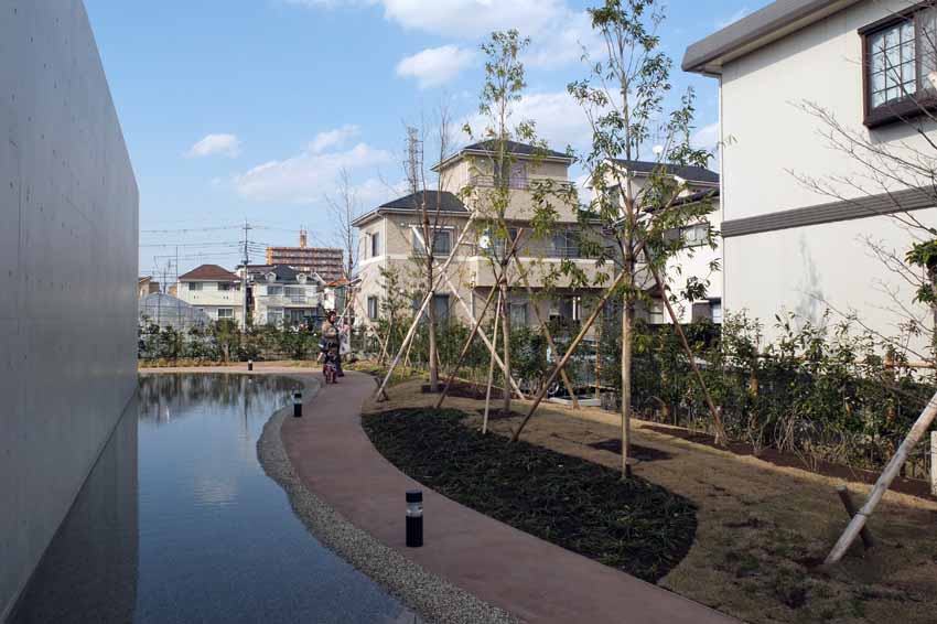 DSCF4144.JPG