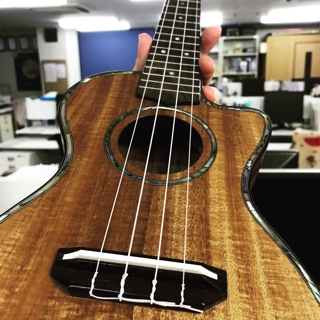 キワヤ商会のウクレレk ukulele k-301 コンサートウクレレが新相棒  