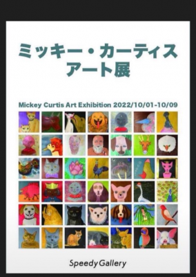 カーチス様 T*S様 カーチス ゴスホーク F|| Curtiss F11C Goshawk