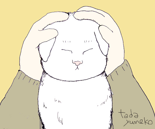 ミカちゃんのお耳