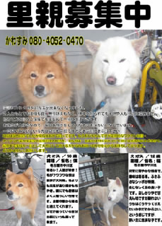 ファイル0043.jpg