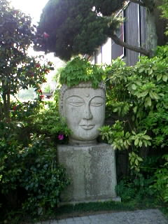 080430_1556~01.JPG