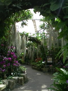 植物園