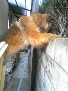 20070326_295356.JPG