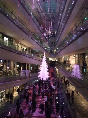 DSCF4603.JPG