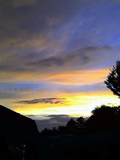 20060805_148629.jpg
