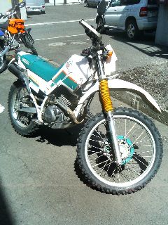 serow