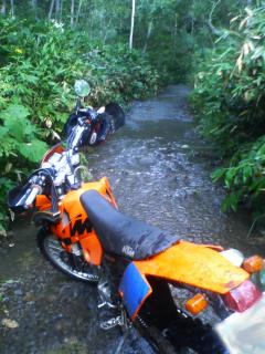 KTM250-EXC