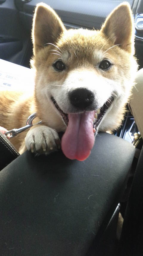 2015093015130001.jpg