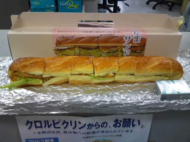 mini_101221_1656.jpg