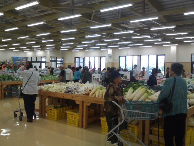 mini_110422_1609.jpg