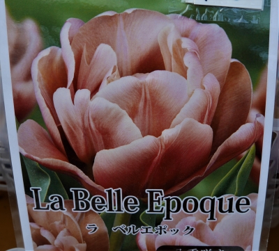 P1030140.JPG