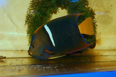 IMG_9079.jpg