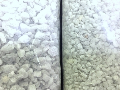 マメカルシウムサンドM・Lサイズ販売開始 | エキゾチックアフリカ