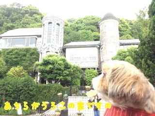 iPhoneImage.png