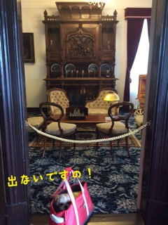 iPhoneImage.png
