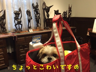 iPhoneImage.png