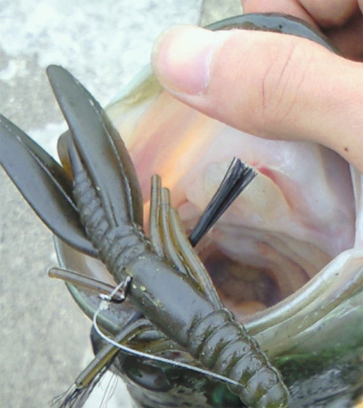 長浜のスギヤン