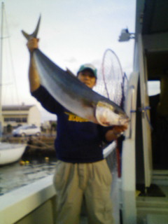 ヒラマサ 10.3kg