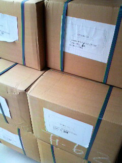 2010011212000000.jpg