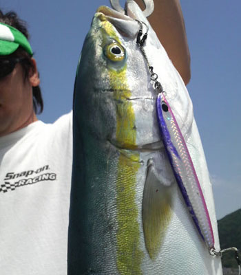 ロングガン120g
