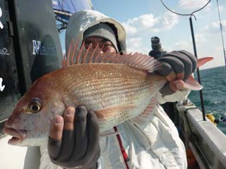 タカさん