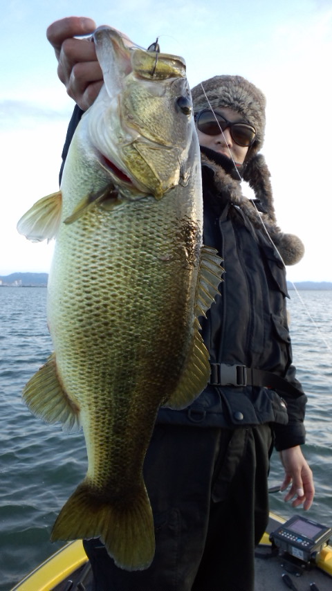 ディースコで57cm