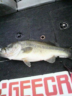 2011051215250000.jpg