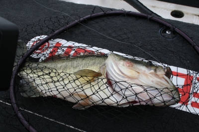 IMG_2639.JPG