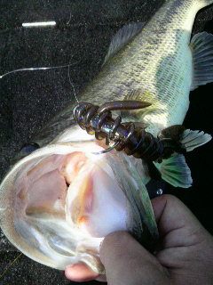 2011051812480001.jpg