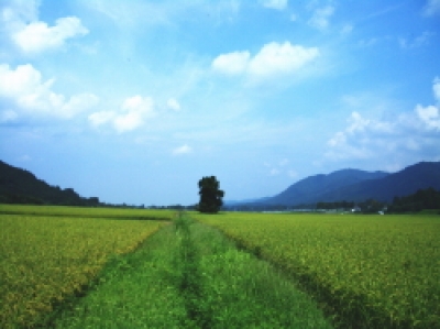 秋田県湯沢市稲庭町の田園風景