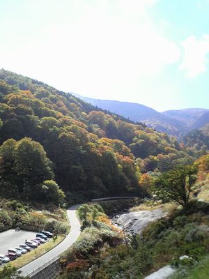 秋田県湯沢市の風景 泥湯の紅葉2