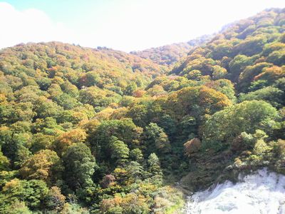 秋田県湯沢市の風景 泥湯の紅葉3