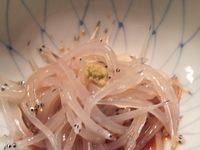 OSMC懇親会 白魚