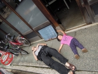 看板息子 看板オヤジ