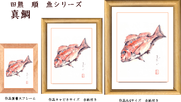 鍋には最高、ちょっと高級真鯛