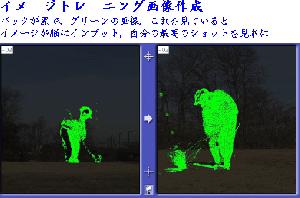 バックが黒に鮮やかなグリーンイメージトレーニング用の画像