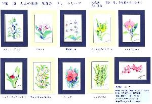 大人の塗絵 ラン 完成画額入り見本