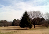 冬の公園