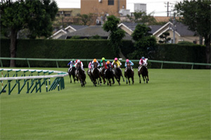 中山競馬場