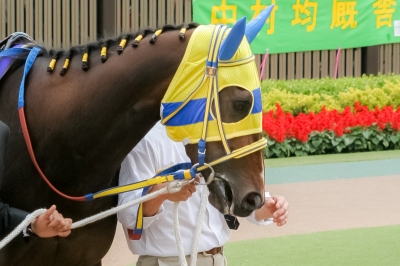 エアメサイア