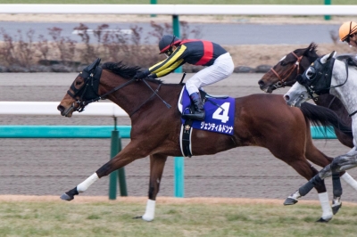 ジェンティルドンナ