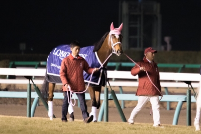ジェンティルドンナ