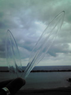 20121007122956.jpg
