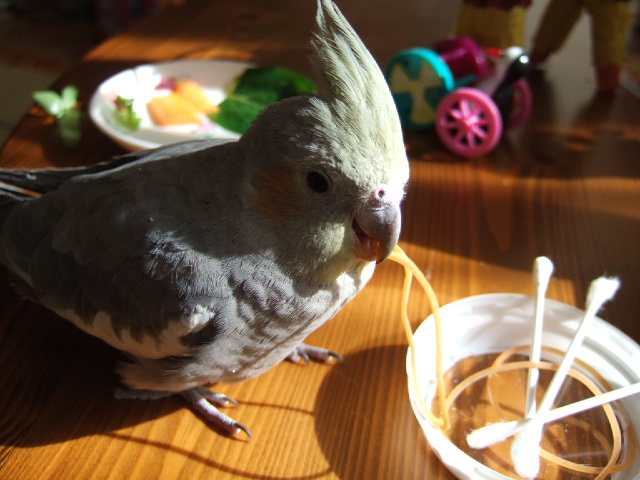 DSCF4988.JPG