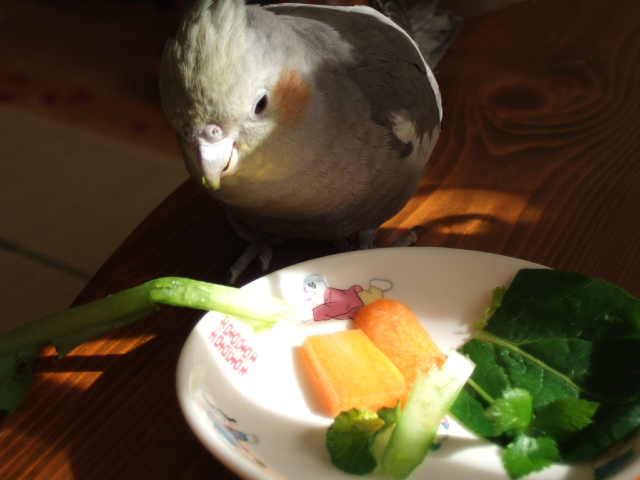 DSCF4981.JPG