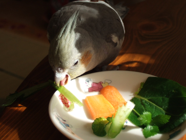DSCF4982.JPG